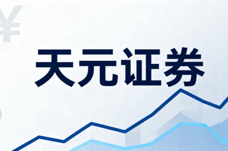 资本市场的隐秘力量：配资平台的发展与变化
